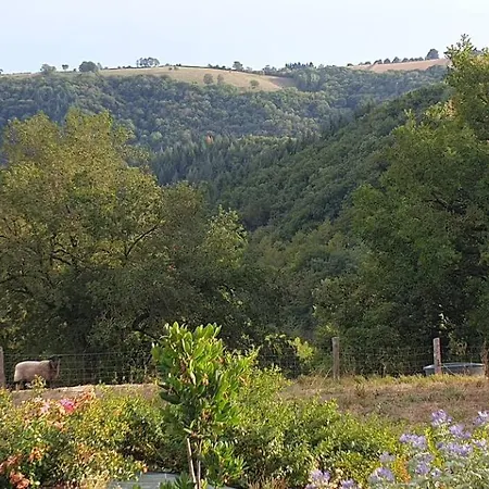 Le Petit Suc Centres